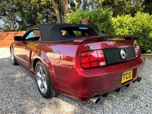 2007 Ford Mustang 4.6i V8 GT California Special Convertible For Sale (picture 4 of 12)