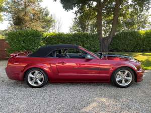 2007 Ford Mustang 4.6i V8 GT California Special Convertible For Sale (picture 6 of 12)