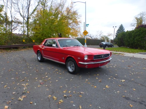 1965 Mustang V8 289 Good Mechanics (St#2394) In vendita