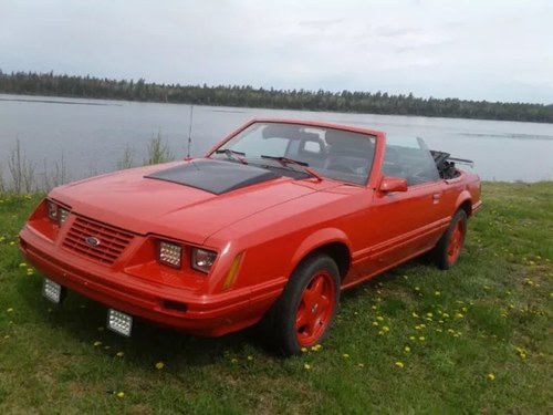 1984 Mustang Convertible low miles In vendita