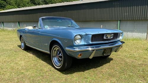 Picture of 1966 Stunning 66 convertible mustang - For Sale