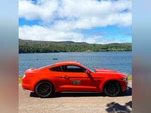 2016 Ford Mustang GT 5.0 V8 Auto - 19,000 Miles FFSH For Sale (picture 48 of 50)