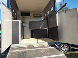 2002 SMART OLD HORSE BOX CARGO WITH LIVEING MOTED NOVMBER 11th For Sale (picture 8 of 12)