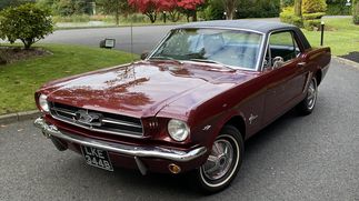 Picture of 1964 Ford Mustang