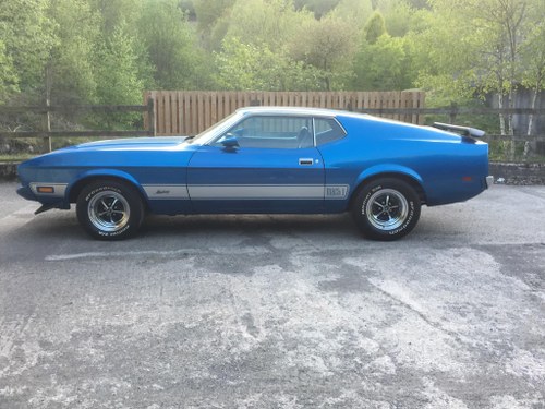 1973 Ford Mustang For Sale