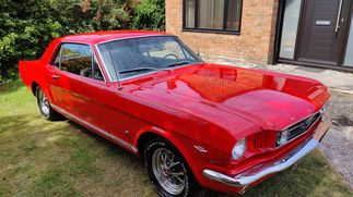Picture of 1966 Ford Mustang