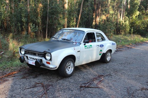 1973 Ford Escort Mexico Historic Regularity Rally Car For Sale