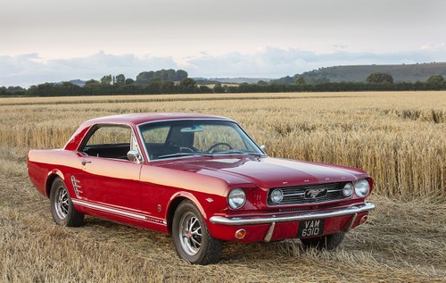 1966 Ford Mustang GT For Sale