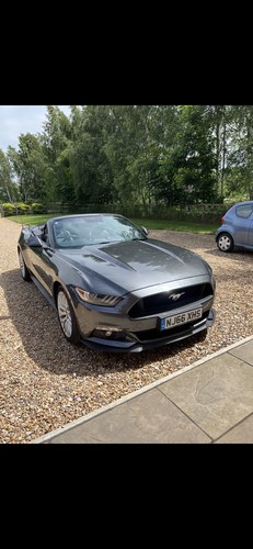 2016 Ford Mustang Gt Auto Kaufen Bei