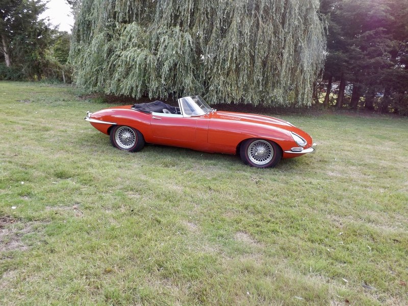 1965 Jaguar E-Type