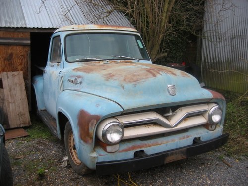 1955 Ford F100