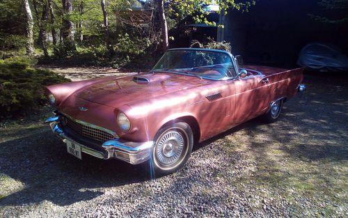 1957 Ford Thunderbird (picture 1 of 68)