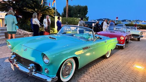 Picture of Ford Thunderbird 1955 - For Sale