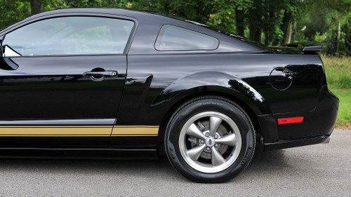 2006 Ford Mustang Shelby Hertz - 6