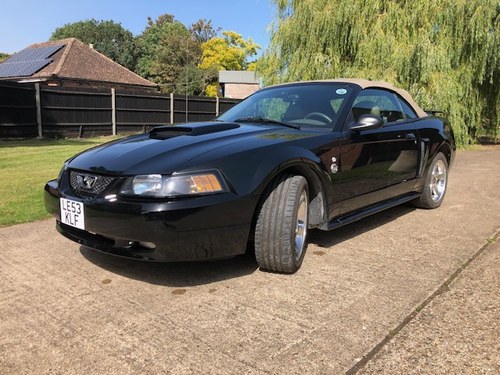2004 Ford Mustang GT 4.6 V8