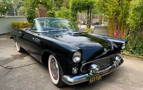 1955 Ford Thunderbird (picture 1 of 20)