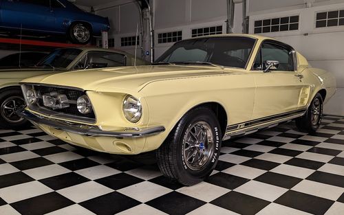 1967 Ford Mustang Fastback (picture 1 of 24)