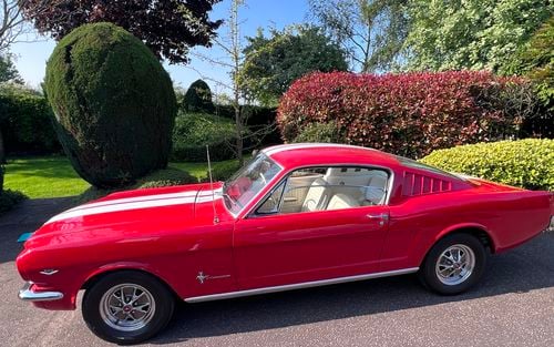 1965 Ford Mustang Fastback (picture 1 of 19)