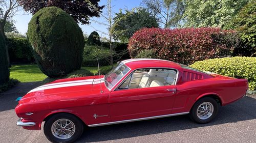 Picture of 1965 Ford Mustang Fastback - For Sale