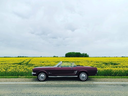 1956 Ford Mustang Convertible '66 For Sale