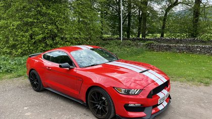 2016 Ford Mustang 6th Gen (S550 2015-23) Shelby GT 350