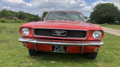 1966 Ford Mustang V8 for sale