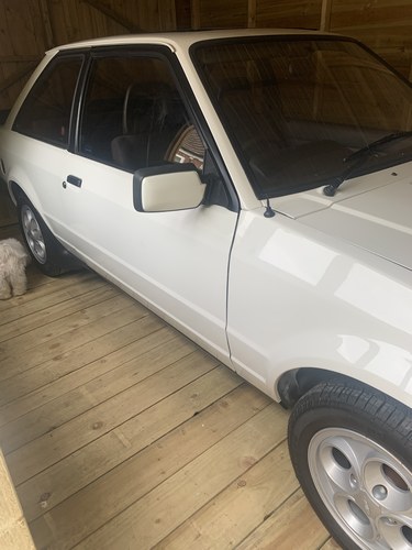 1982 Ford Escort xr3