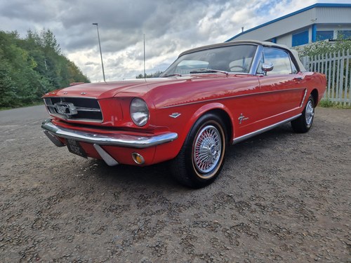1965 Ford Mustang Convertible 289 Kaufen Bei
