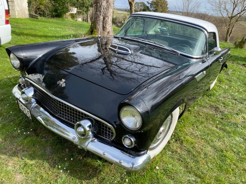 1955 FORD Thunderbird Kaufen Bei