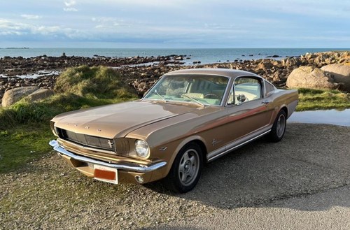 FORD Mustang Fastback V8 - 1966 Kaufen Bei