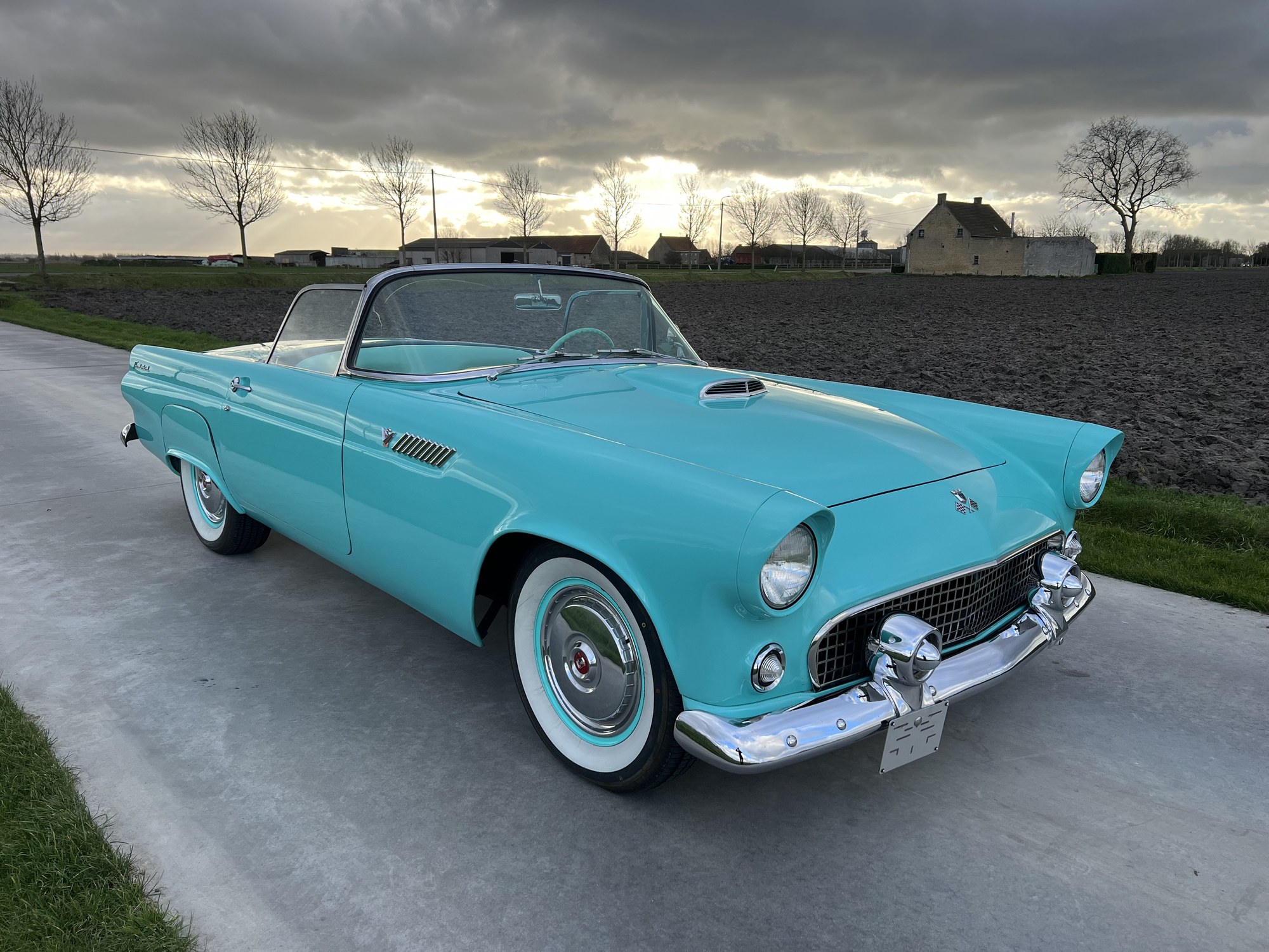 Ford Thunderbird 1955, foto 1