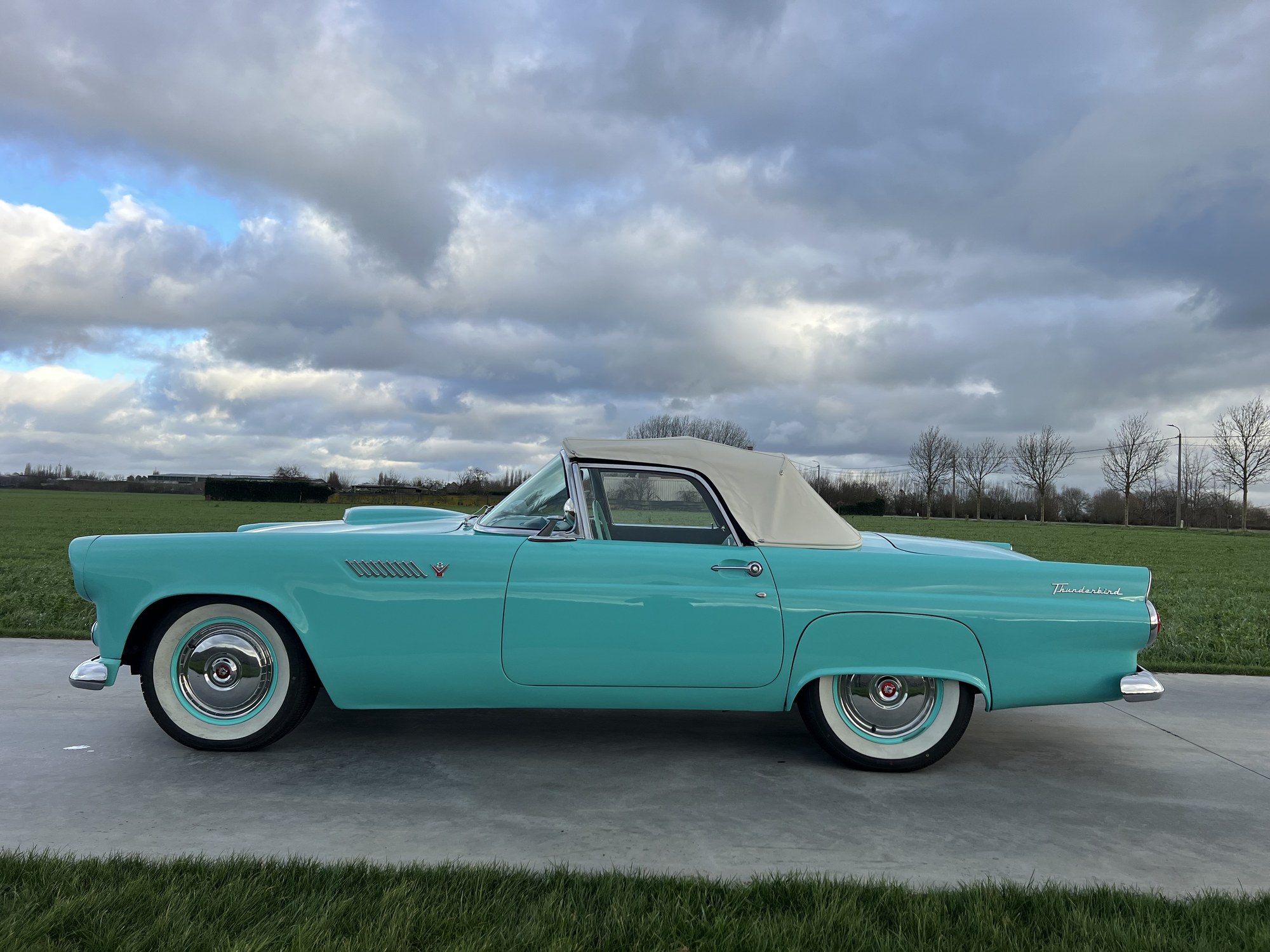 Ford Thunderbird 1955, foto 3