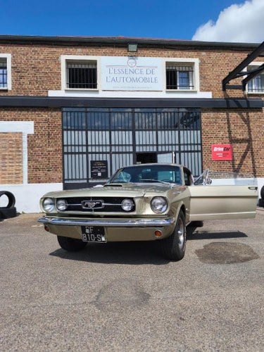 1965 FORD Mustang FASTBACK 286 CI Kaufen Bei