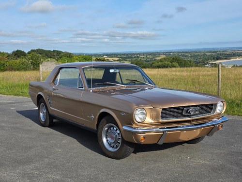 1966 FORD Mustang 289 Kaufen Bei