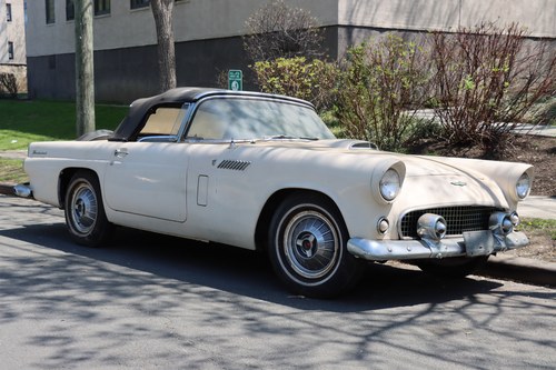1956 Ford Thunderbird #25759 Kaufen Bei
