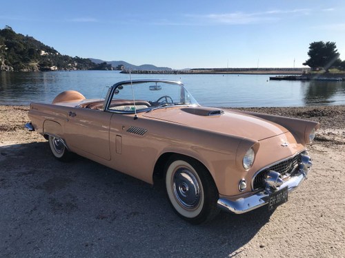 1956 Ford Thunderbird Te koop