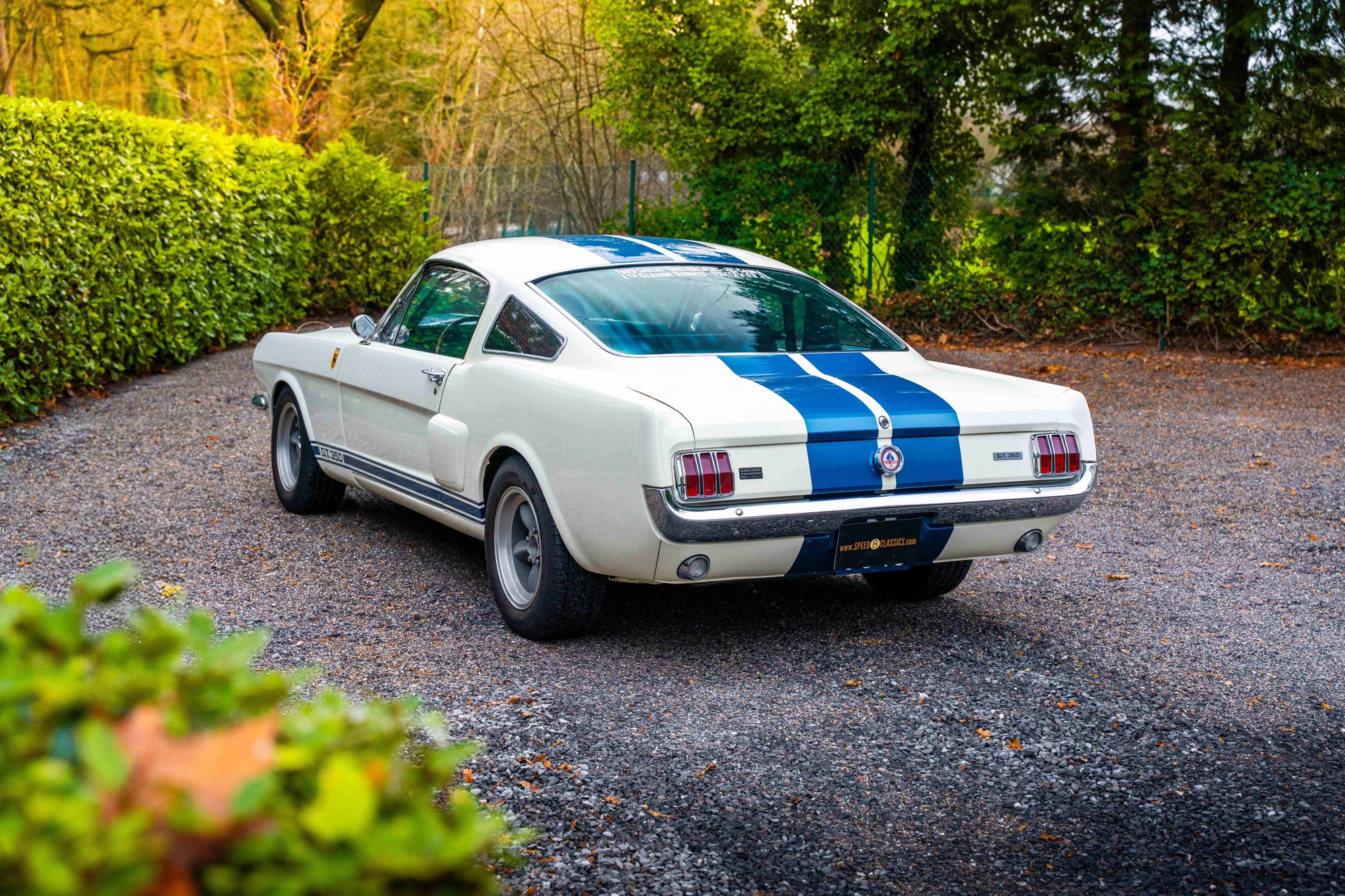 1966 Ford Mustang Shelby GT 350, foto 2
