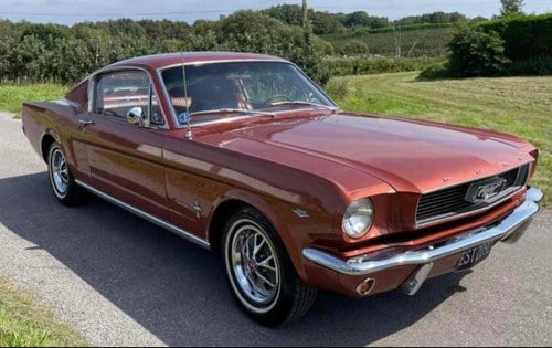 1966 Ford Mustang Fastback 1st Gen (1965-1966) For Sale