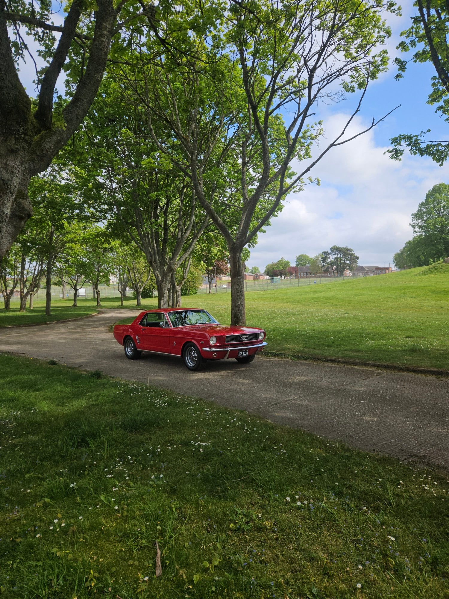 1966 Ford Mustang 1st Gen (1965-1966), foto 1