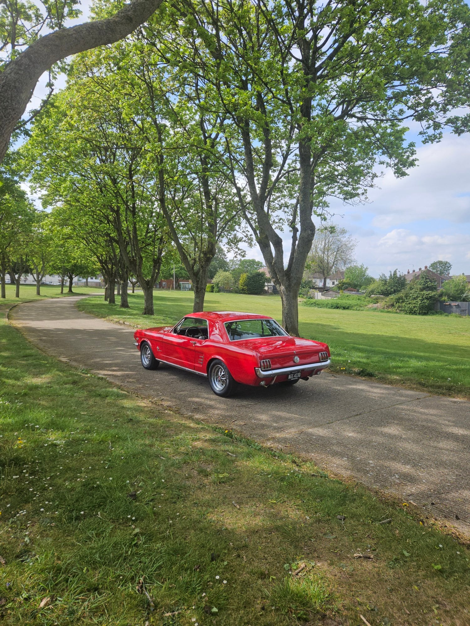 1966 Ford Mustang 1st Gen (1965-1966), foto 5