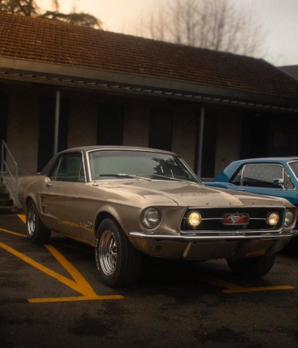 1967 Ford Mustang 1st Gen (1967) Te koop