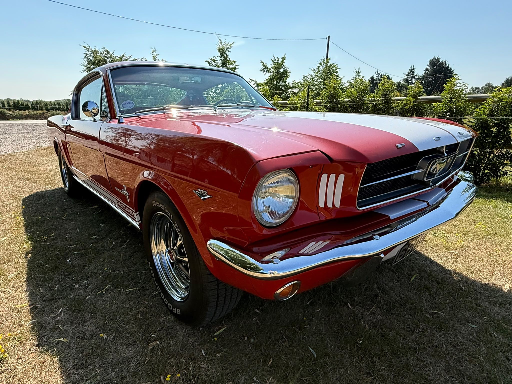 1965 Ford Mustang