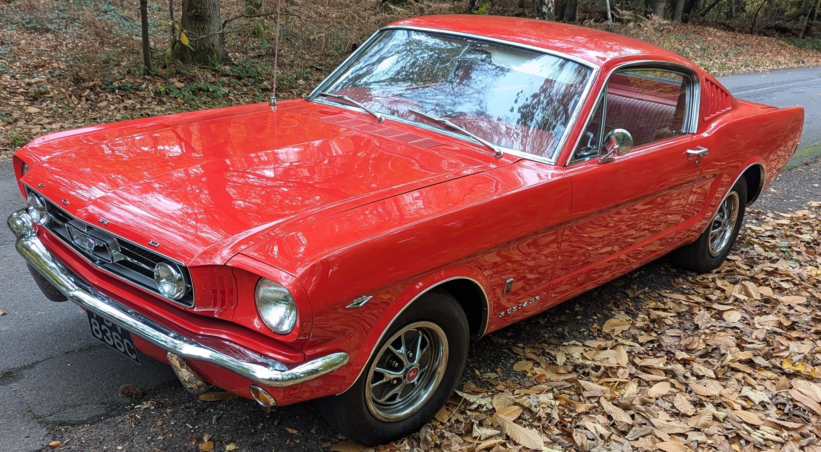 1965 Ford Mustang Fastback