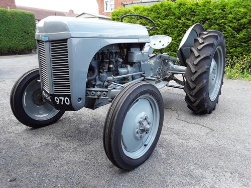 1952 Ferguson Tractor VENDUTO