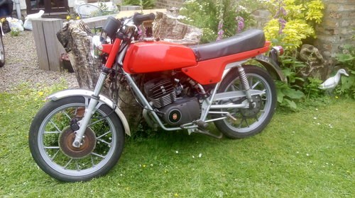 Gilera 50TS 1982 In vendita