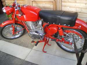 Gilera 125 Sport Extra  1962,Outstanding Condition Moto Giro For Sale (picture 3 of 6)