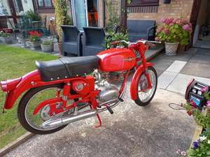 Gilera 125 Sport Extra  1962,Outstanding Condition Moto Giro For Sale (picture 6 of 6)