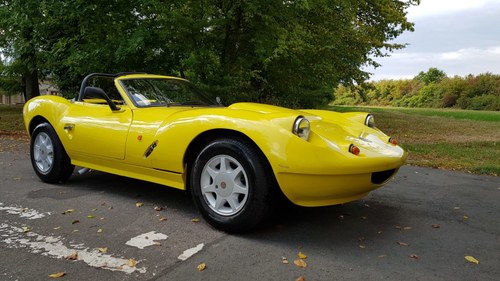 1983 Ginetta G4S4, extremely rare collector's item For Sale