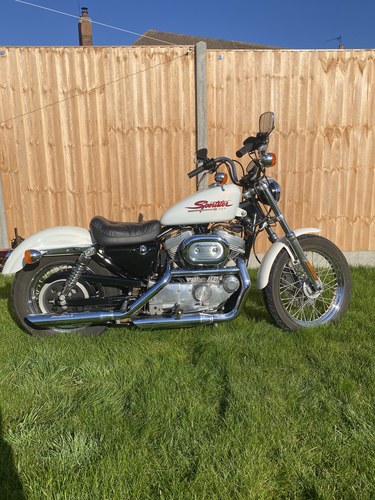 2001 Barn find Harley Davidson Sportster For Sale