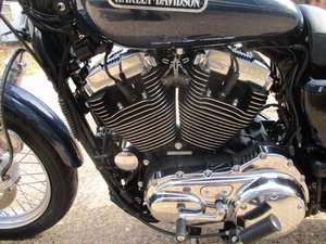 2009 Harley Davidson Sportster XL1200 Low '59 plate For Sale (picture 8 of 8)